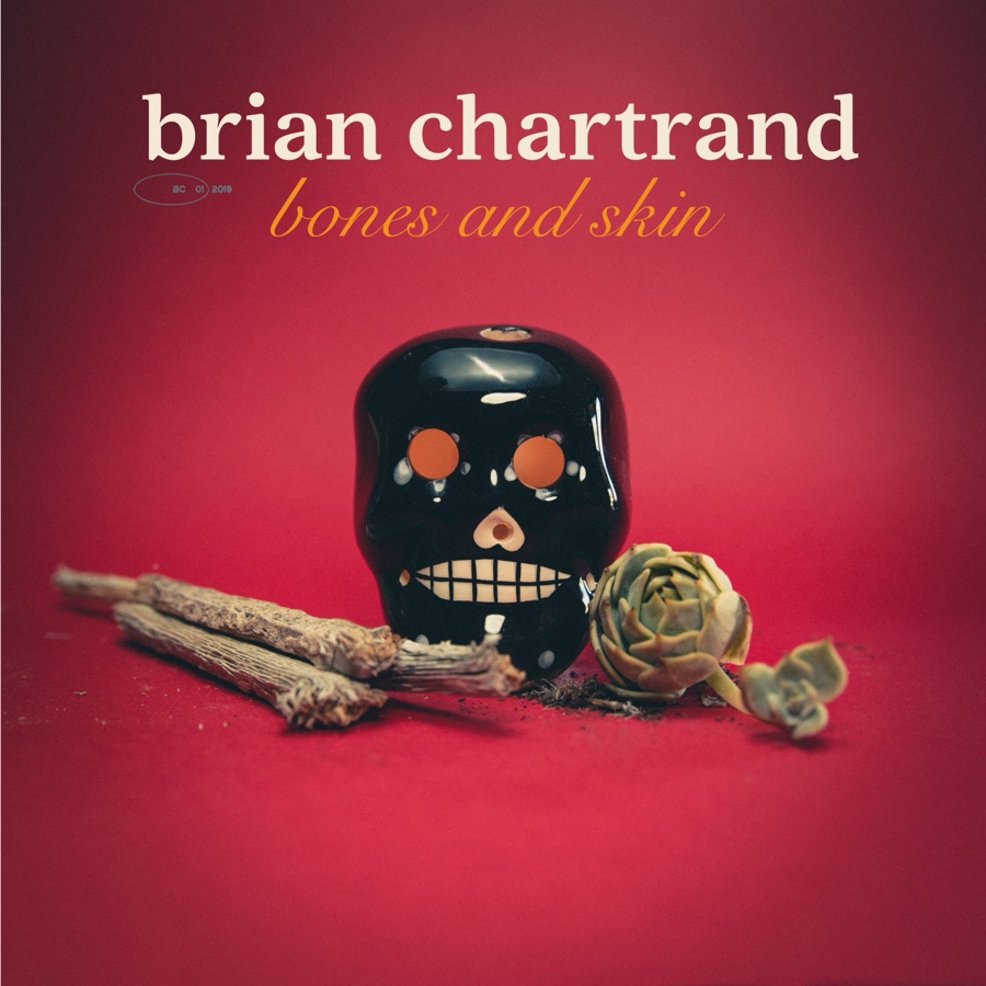 Bones and Skin cover art