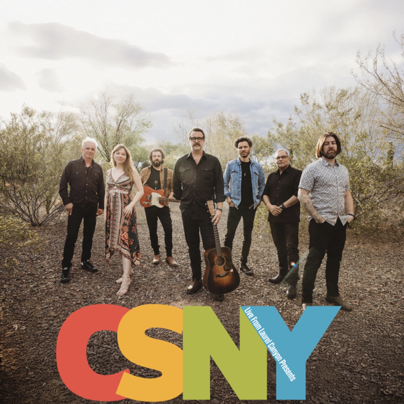 CSNY — Live from Laurel Canyon