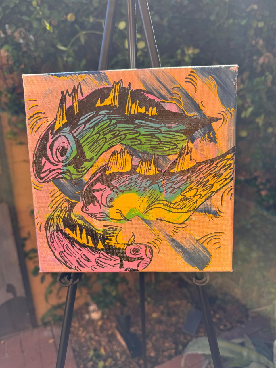 Koi 3